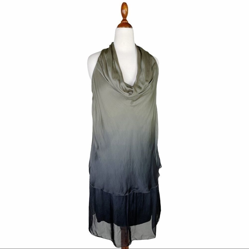 Sofia Collection Ombré Drape Neck Silk Dress Small